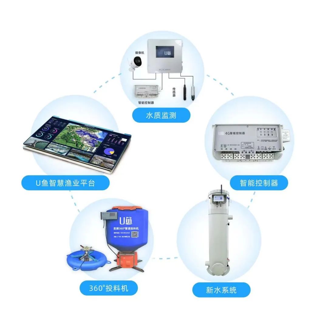 養殖設備免費送？互聯網技術如何重塑養殖設施行業新格局